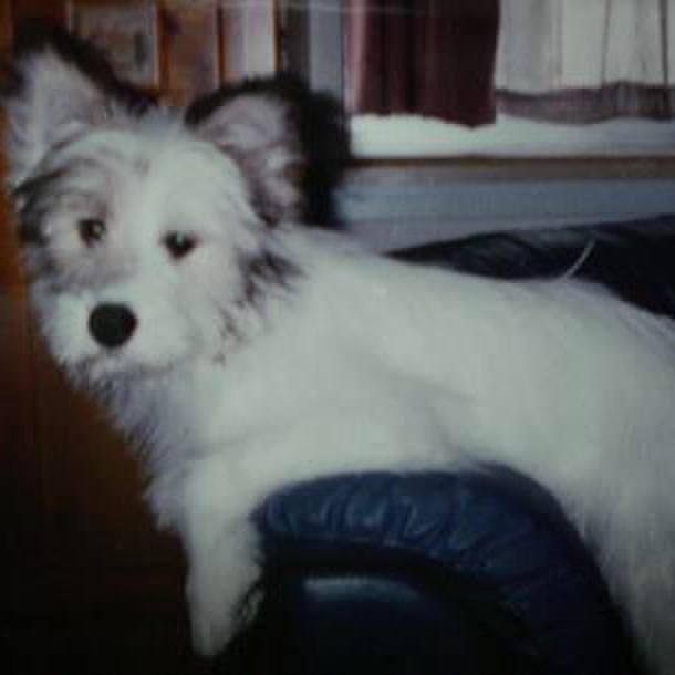 6e1b452d 7299 43fc 9c30 1e1b91681cce