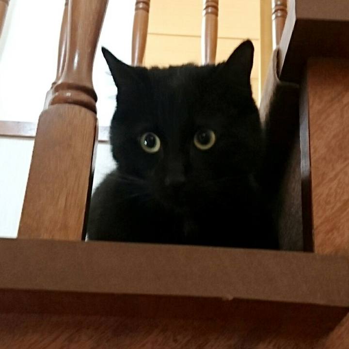 6e1bbb68 219b 40eb bac0 8080dc4e7070