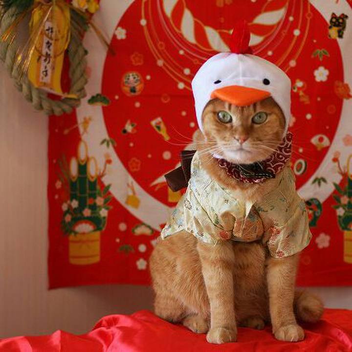 6e1cbf1f 09e5 40a5 9dd8 aa73303f5ac1