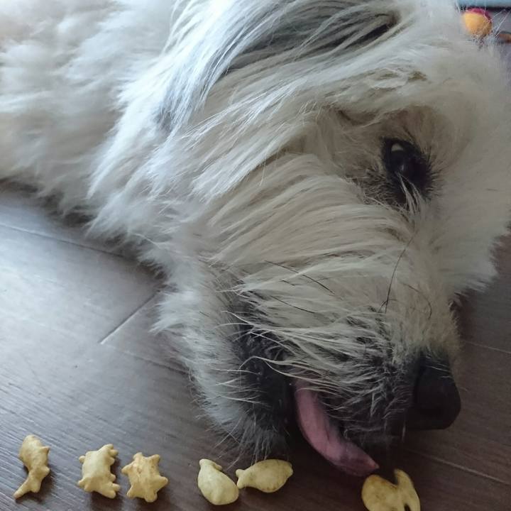 6e1ce981 4dc1 4914 9962 d47e82433b8f