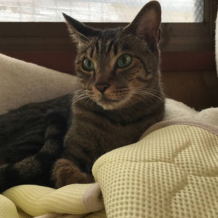 6e1cf6d4 af55 4177 a421 dcc926cfe101