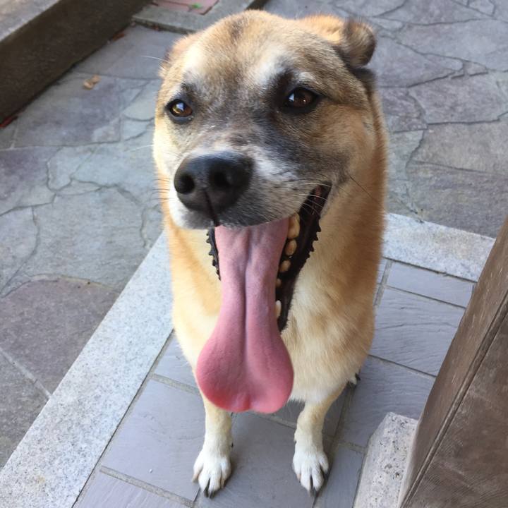 6e1d4c87 e187 4662 9117 14691f507e3e