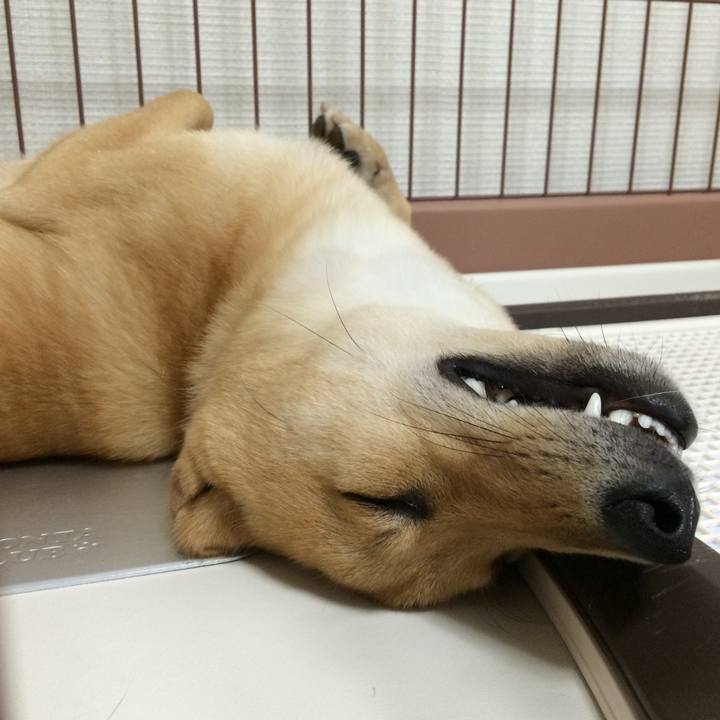 6e1d7633 64ef 402f a8e4 c7ec273ea787