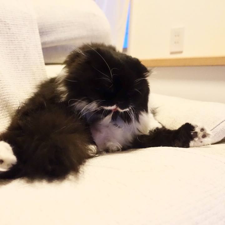 6e1d847c 802c 4268 9bb6 fee3cdee406c