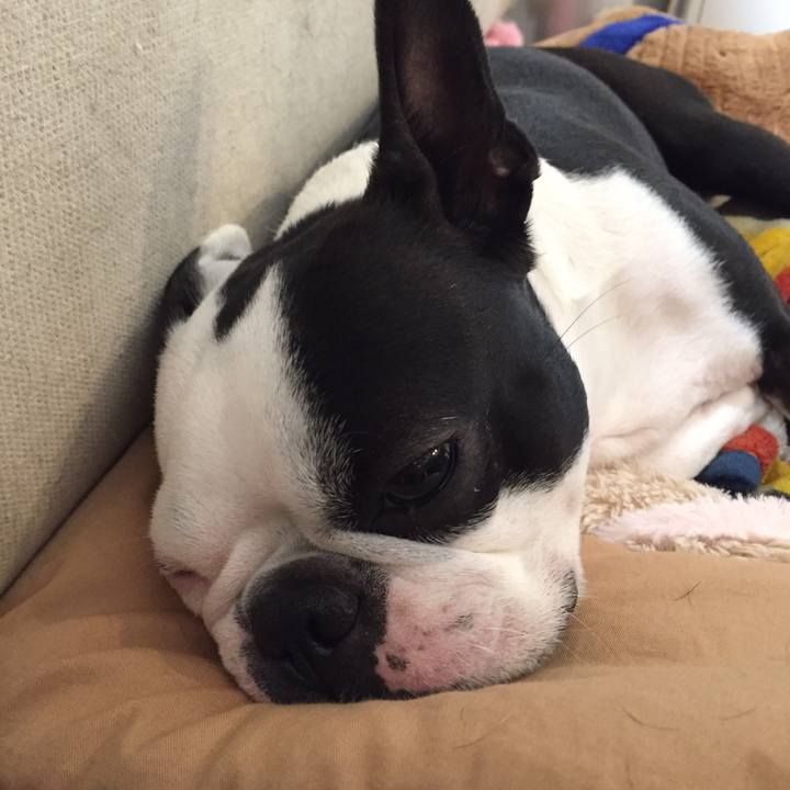 6e1d9ef3 cd11 4003 8174 76427474e4e3