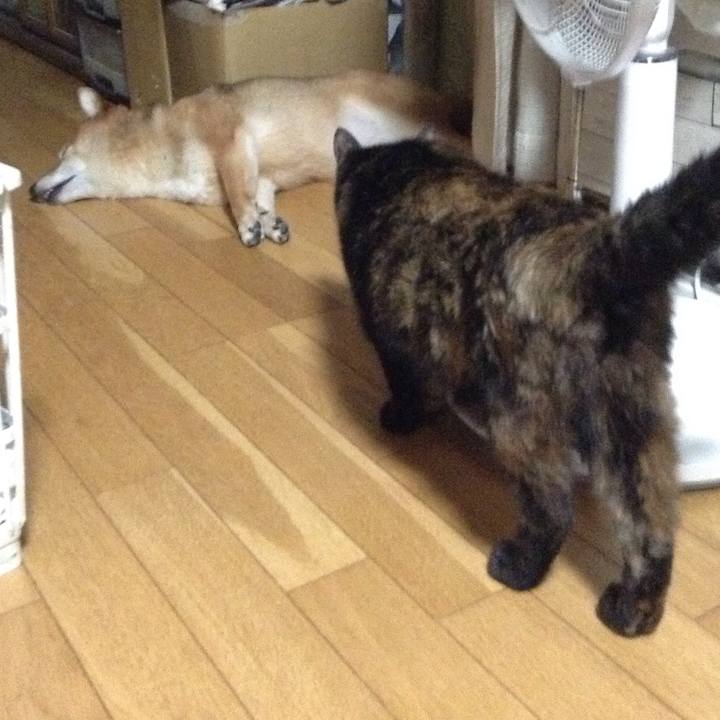 6e1db577 2336 463c 8d1f 0bd13d9749dd