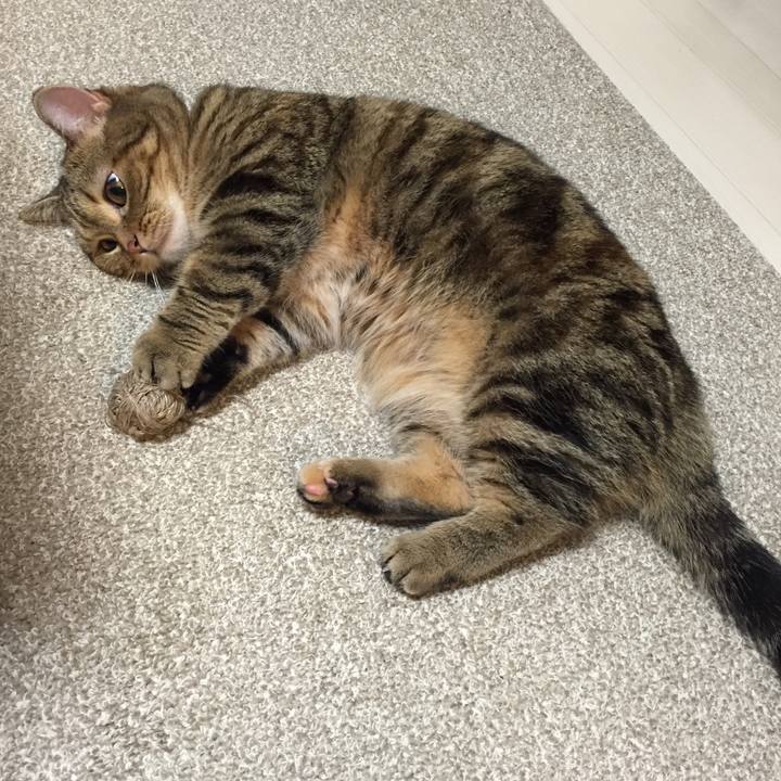 6e1dea36 eb29 4186 afeb 76e55a09477e