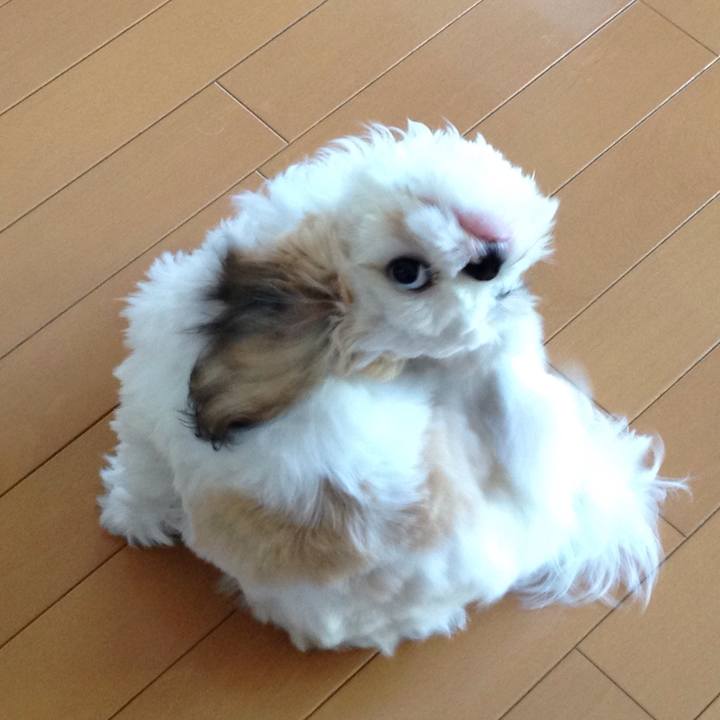 6e1e108d cb81 4283 b2d0 ce935ea2e547