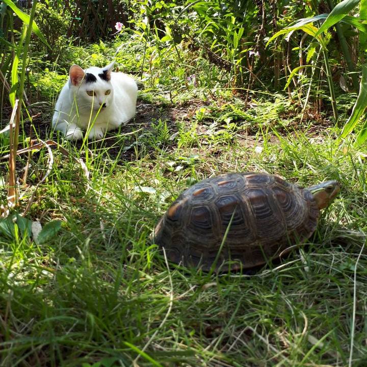 6e1e4f71 3899 4bc6 938c f1cb5ca1d9cc