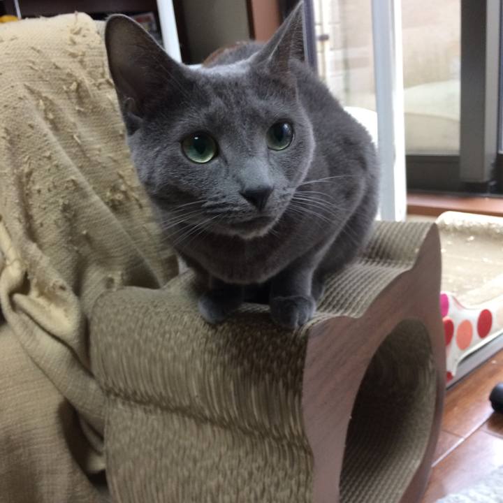 6e1f2b96 796f 47d6 b802 18e3ac309e16