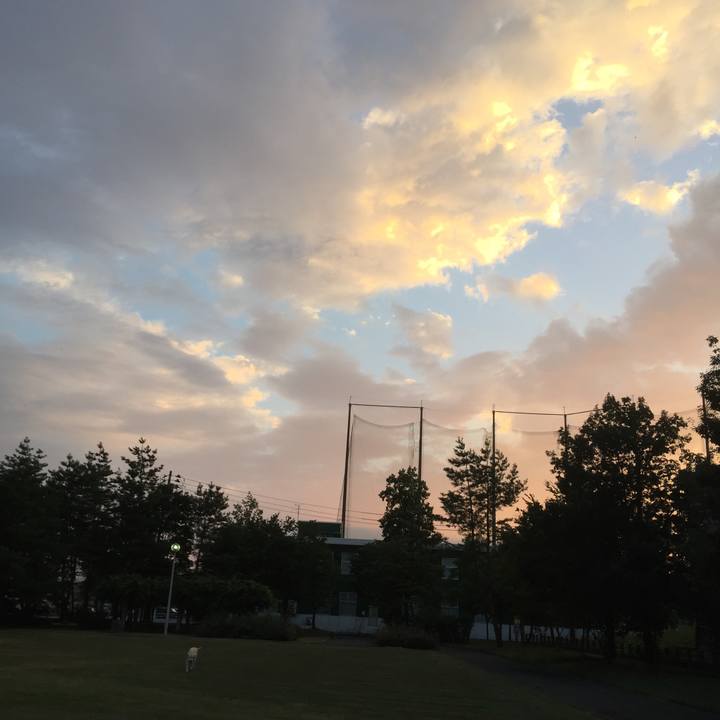 6e1f37c3 ed6a 414e 93c4 ef15052a76b5