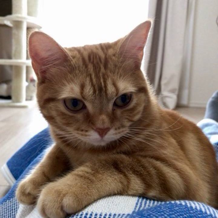 6e1fa495 0f23 409f 9e9c e6c17c466bd1