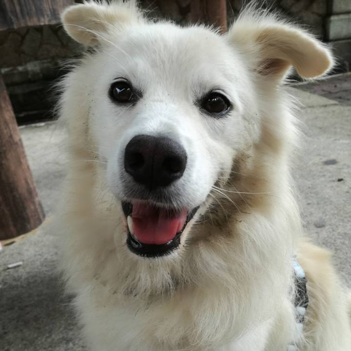 6e20a59f 3e04 4cc2 b55c 71df60691951