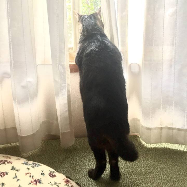 6e218ac9 d5cc 4b91 ad2d c6a7a11f3f74