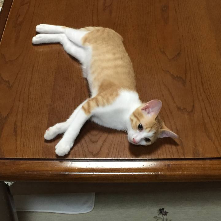 6e22210f 735b 48b0 a3b7 9d22c92698a0