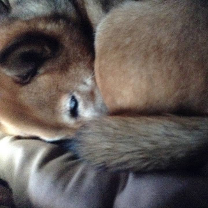 6e225e27 2308 4a2d b526 1b55f288955f