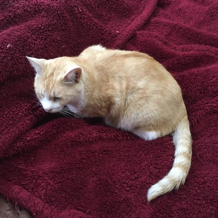 6e2284ca 2b72 489e 9e63 659408b49bd0