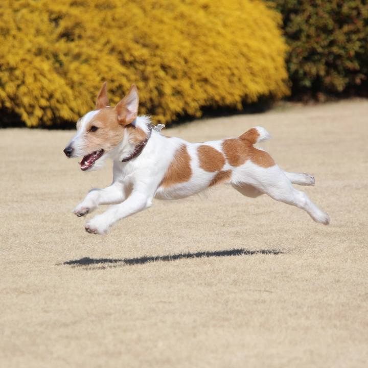 6e228e3b ee79 466e 8006 25954e1503ba