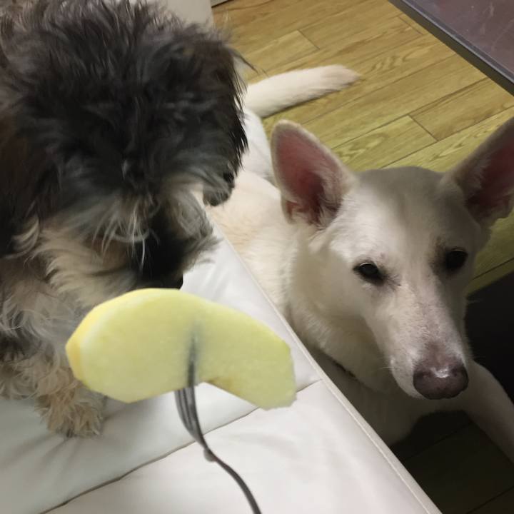 6e23f89d b8c6 47a6 8399 20c946038c73