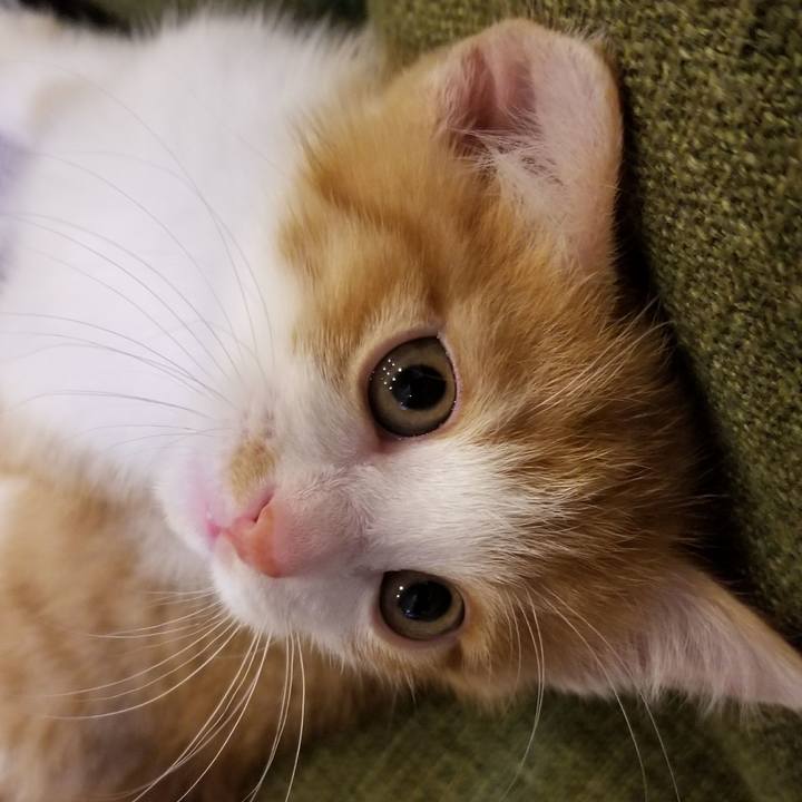 6e248317 fbf2 49ee a9b9 a6aa86528f8e