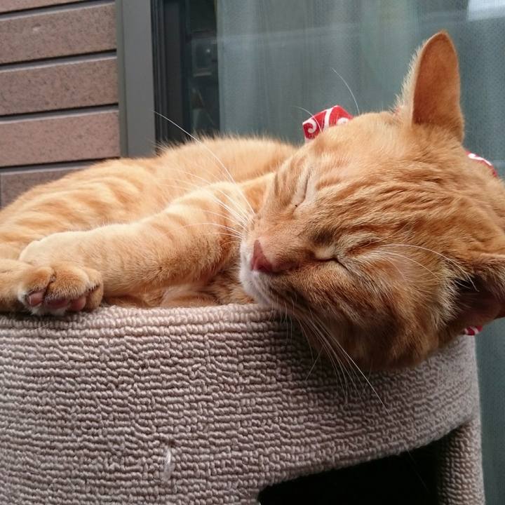 6e25916e 4c7b 4b39 ad52 0374b11af719