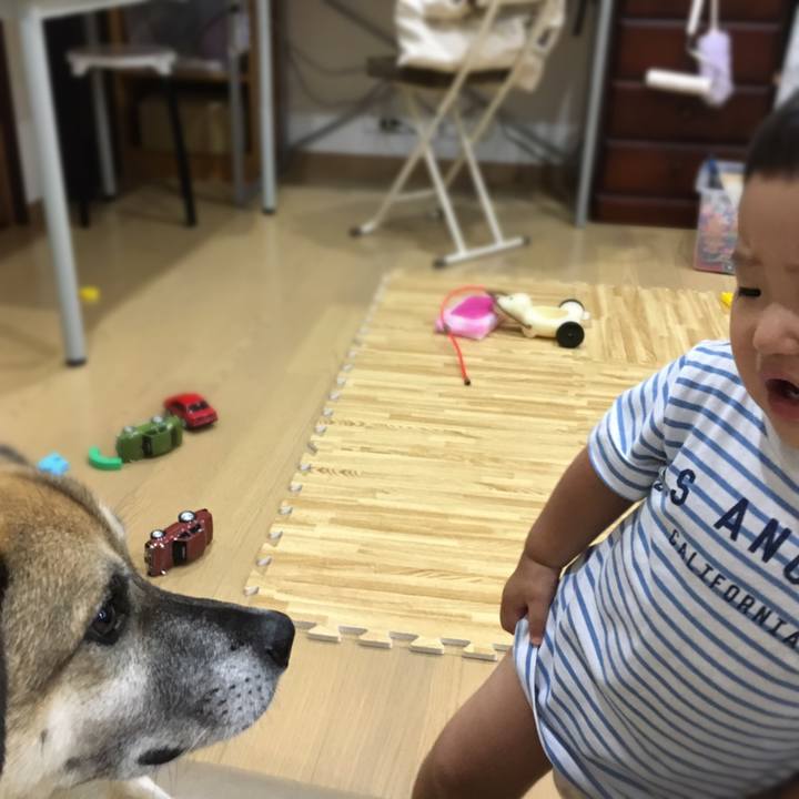 6e270fde d762 49ff a826 06f4de21c17f