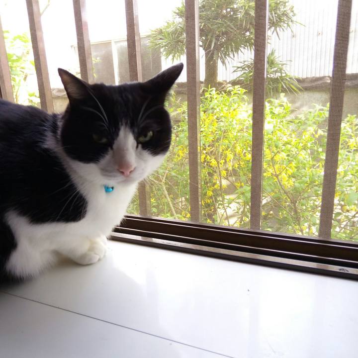 6e274154 b4cc 496f a5c3 3935c0cae49f