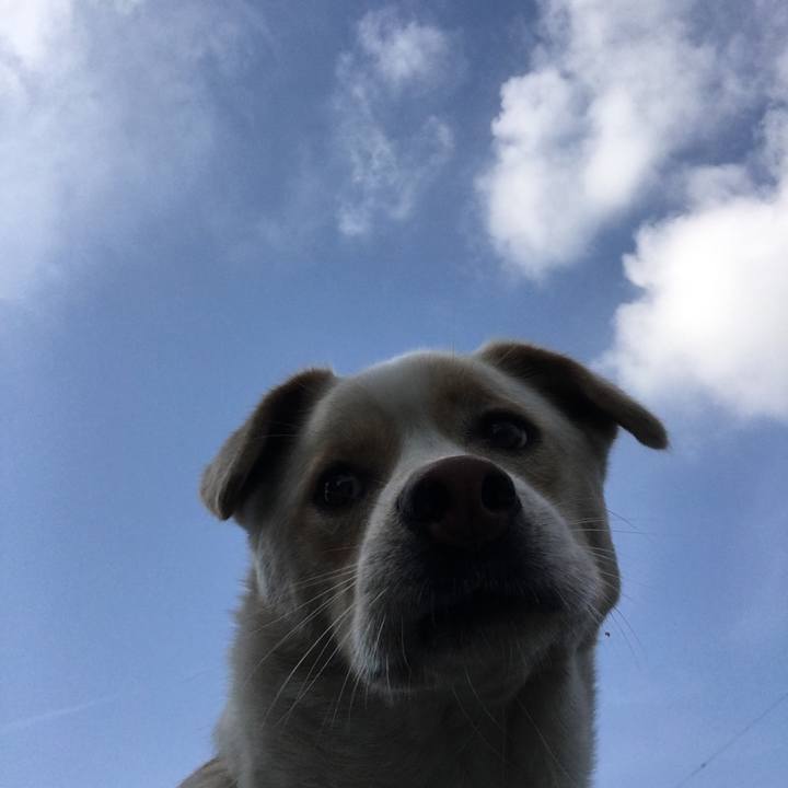 6e27a961 be46 4620 a1de c11a21279680