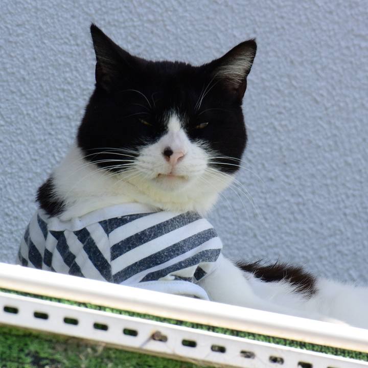 6e27aca7 adc7 43ef 84ae 5570b22e46e9