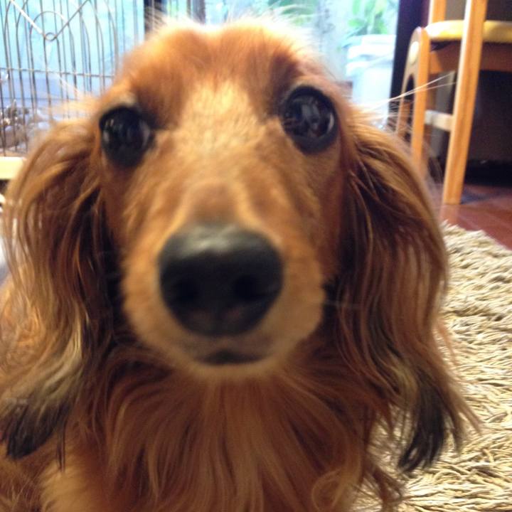 6e2802cb 81df 411e 925d 902fd4156f9d