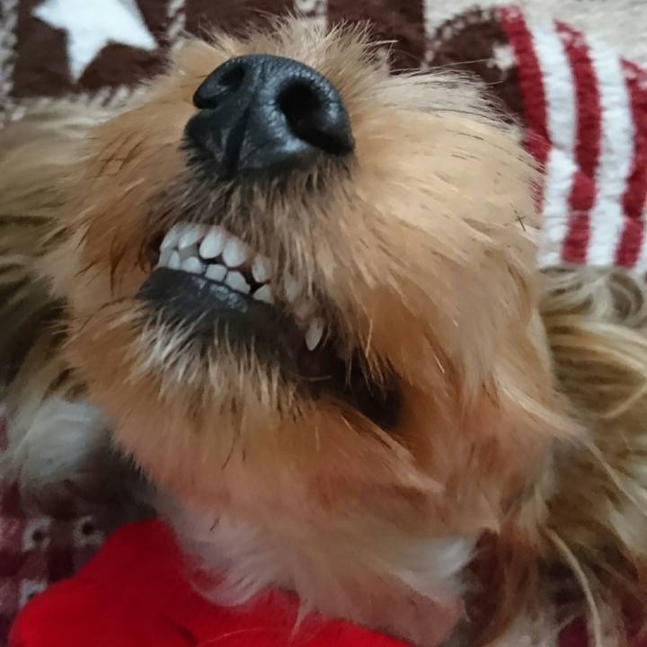 6e281ba1 4245 4f3a b012 f6d24b53cf37