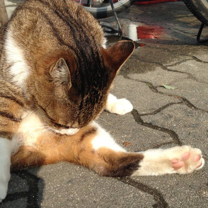 6e283347 b854 4123 8809 181530182dd2