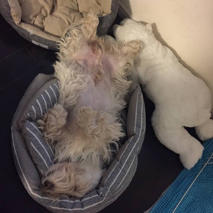 6e2ac230 6ac4 49e6 8ed3 10f7664e6cda