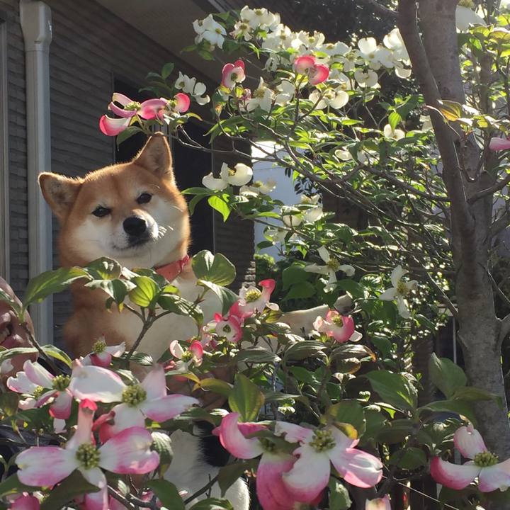 6e2c34d8 1e7a 47cf b2eb 3df7ba16895a