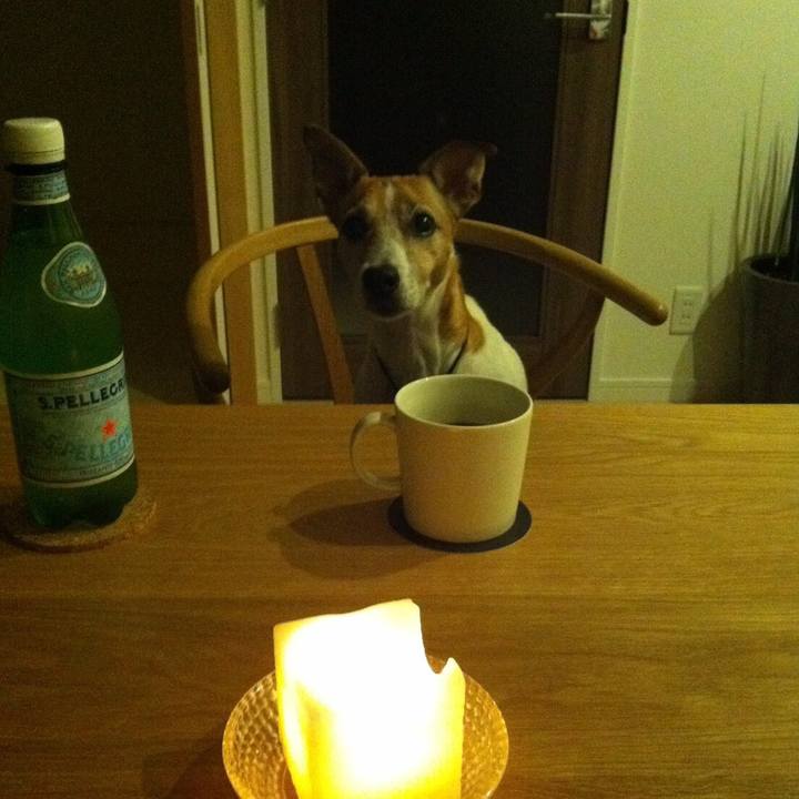 6e2c882c 2480 422f 8a11 c0a0f9610195