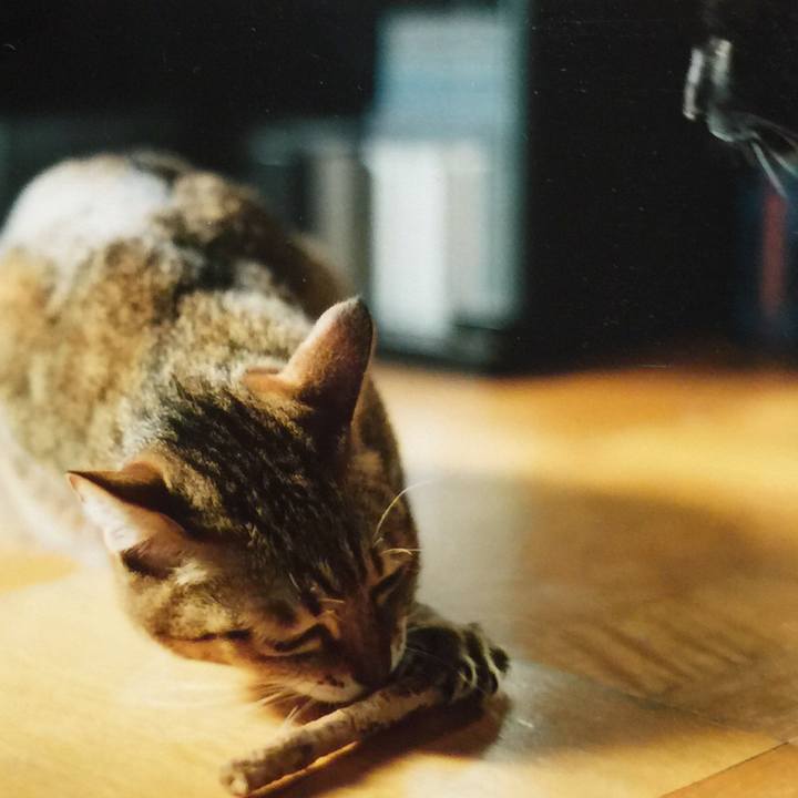 6e2d1ea8 ed16 47d6 95a8 e901c49f8511