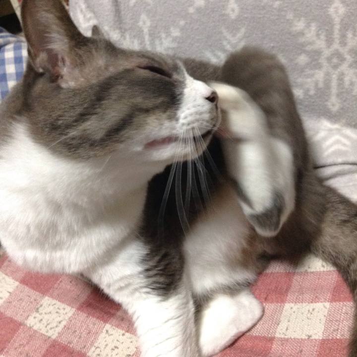 6e2d2c4a 07c6 4630 9e44 4dd804fc75be