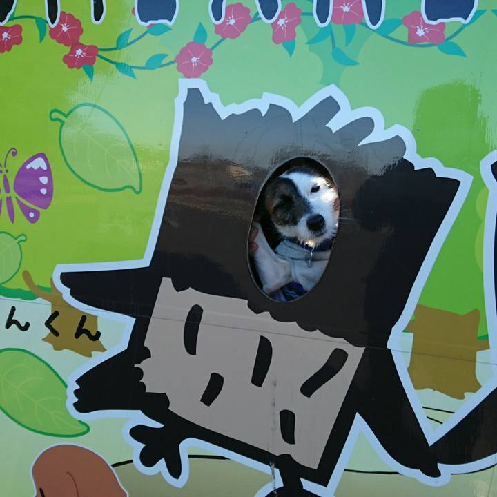 6e2e3ed2 b596 4095 aef9 b72f97a91ee4