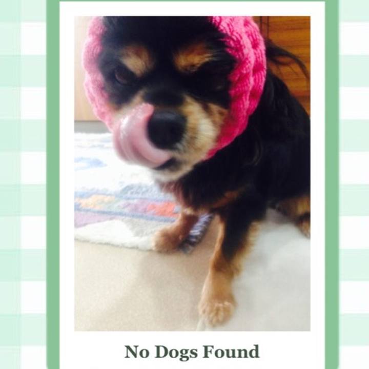 6e2ed9f5 ecb7 4781 a1ca 8b53126f23e2