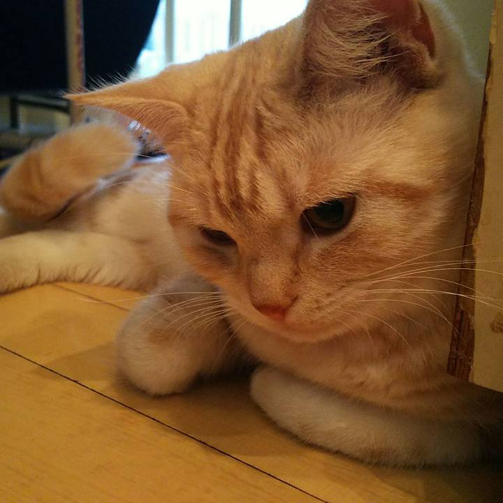 6e2ee810 9cd4 4201 918c 990e47f80f82