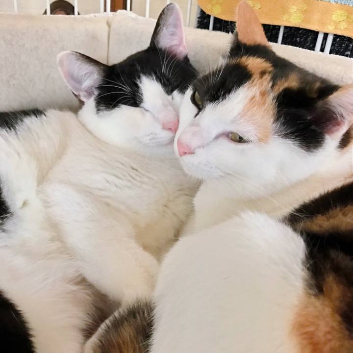 6e2fdf9f b9d4 42d0 af25 1d748c79e587