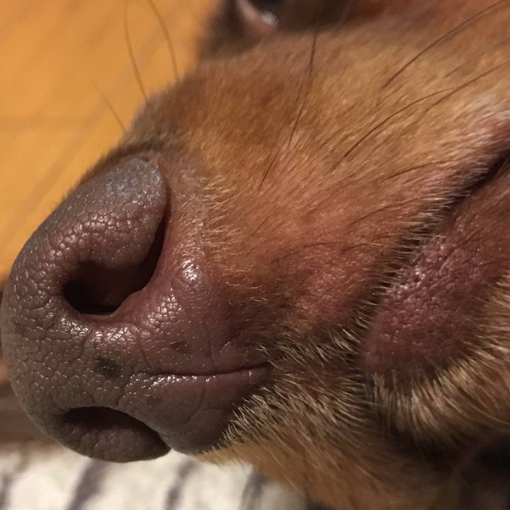 6e302129 5429 4d32 b797 2184b3bbc1bd