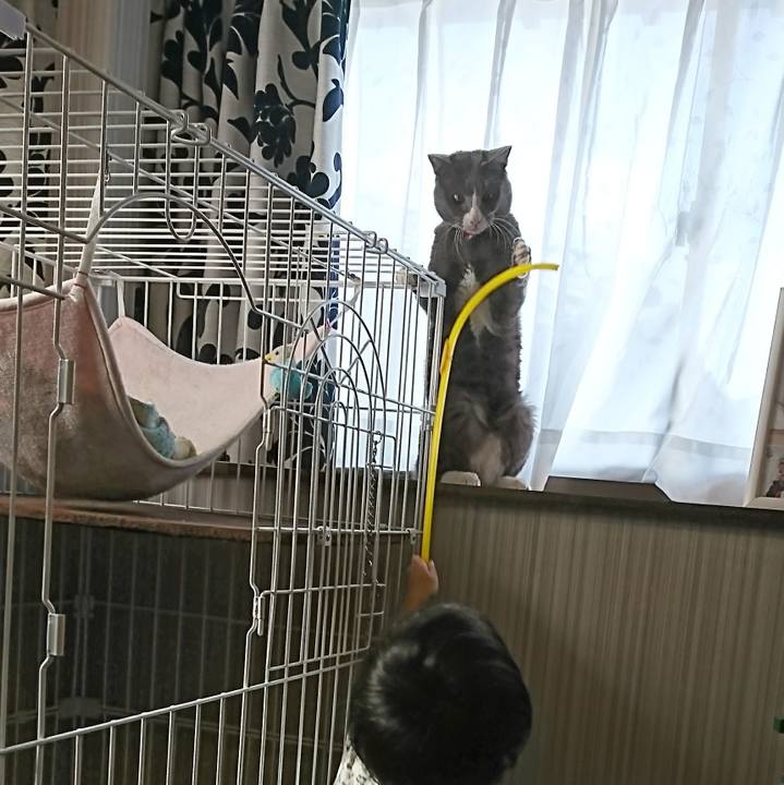 6e30291c c315 4529 b9b4 61cdae47a6b0