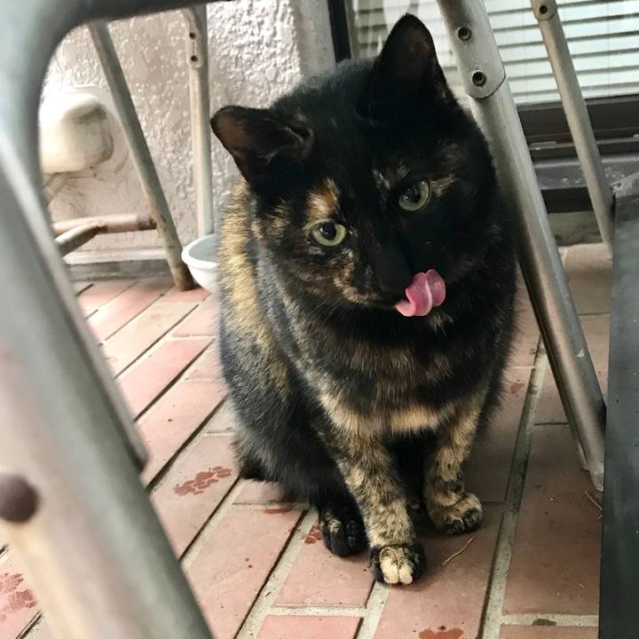 6e30622f c8d0 4a47 8cac 0920f7668acf