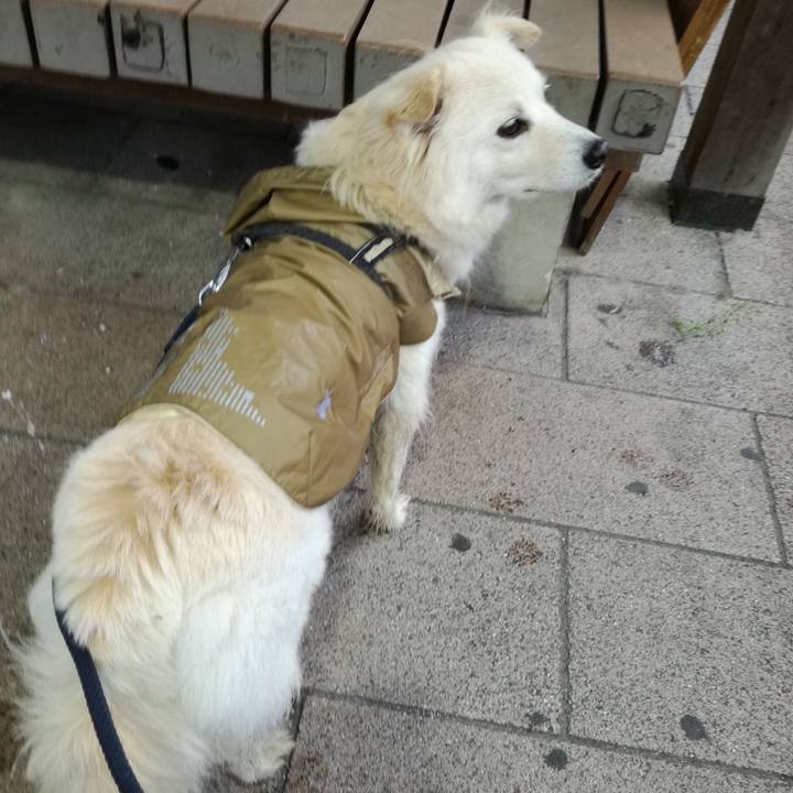 6e3091d9 c73b 4616 914f 1b2d5ca92621