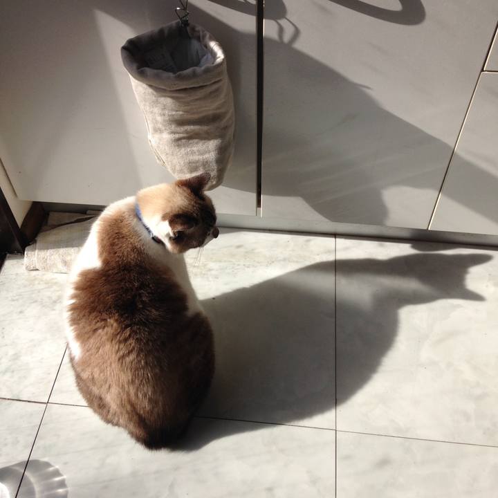 6e30b5f2 568e 48d6 a27e 2d6f4368d621