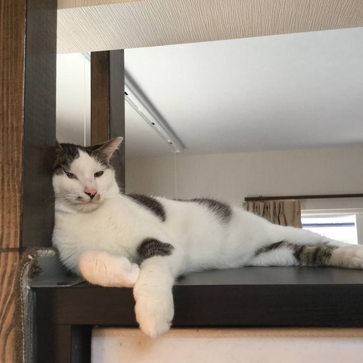 6e3125f6 b7f5 4b0c 8943 b16e8e1181e3