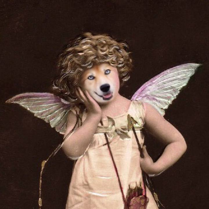 6e313b40 9f06 4d7a 8d94 4f267781502e