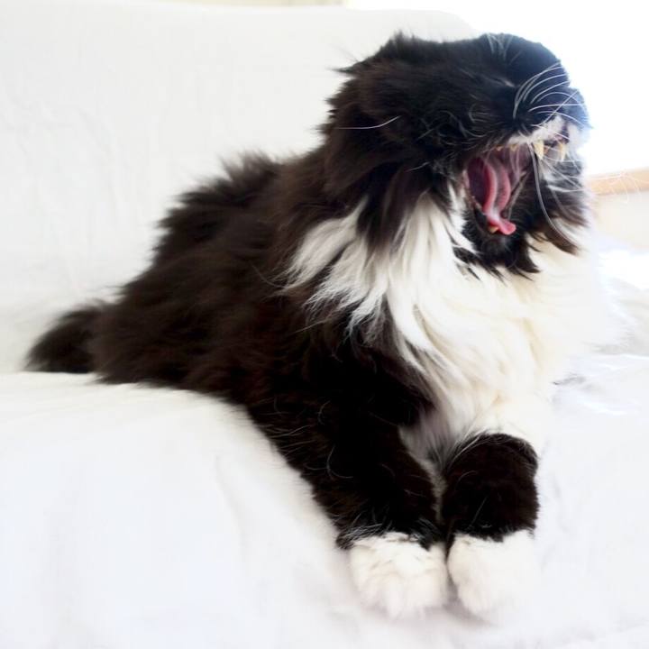 6e316a79 c809 4256 9911 a19e5758f375