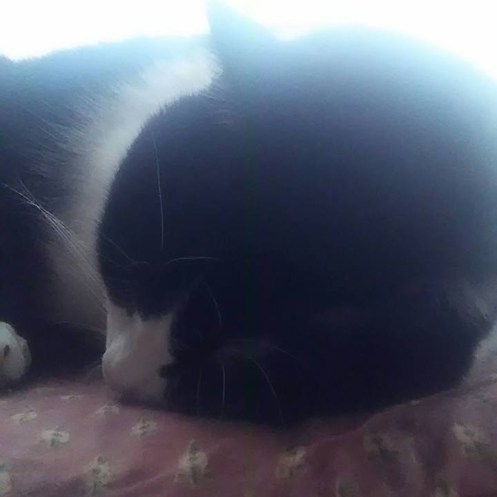 6e317817 2459 4419 9a4e 305d4b9a759a